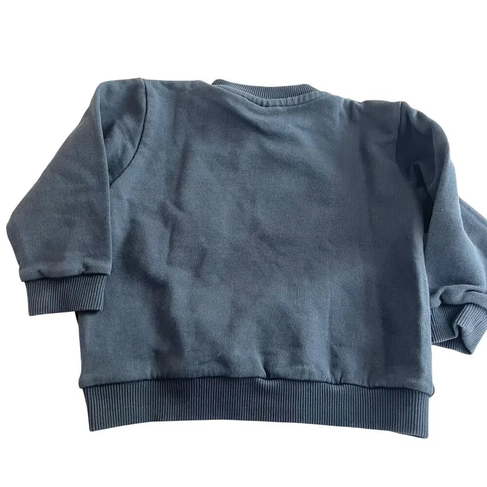 Loud Apparel Boys Grey Away Eye Graphic Sweatshirt NWT 24M European Streetwear